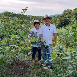 홍승한님의 작성글 사진