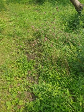 임재현님의 자유주제 · 사진전 작성글 사진