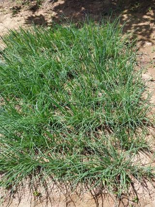 성주 농업인님의 자유주제 · 자유게시판 작성글 사진