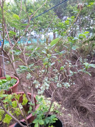 권석민님의 기타작물 · 자유게시판 작성글 사진