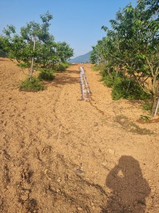 곡성군죽곡정안수님의 팜모닝공식 · 광고승인요청 작성글 사진