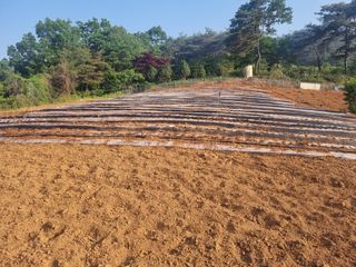 곡성군죽곡정안수님의 팜모닝공식 · 광고승인요청 작성글 사진