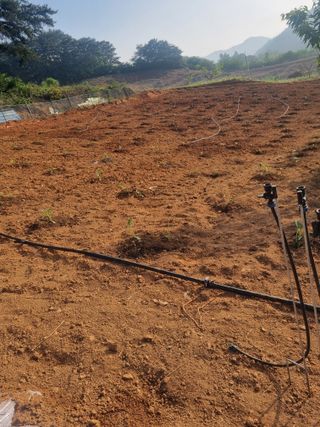 곡성군죽곡정안수님의 팜모닝공식 · 광고승인요청 작성글 사진