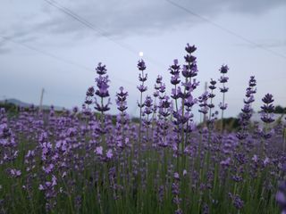 하루애꽃님의 자유주제 · 자유게시판 작성글 사진