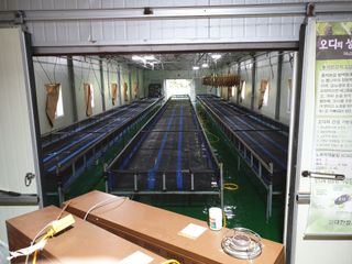 홍박농원님의 자유주제 · 자유게시판 작성글 사진