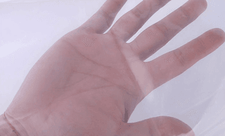 다이쏘(권자영)님의 작성글 사진