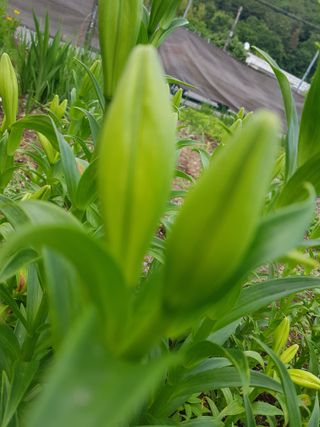 배영이님의 자유주제 · 자유게시판 작성글 사진