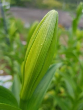 배영이님의 자유주제 · 자유게시판 작성글 사진