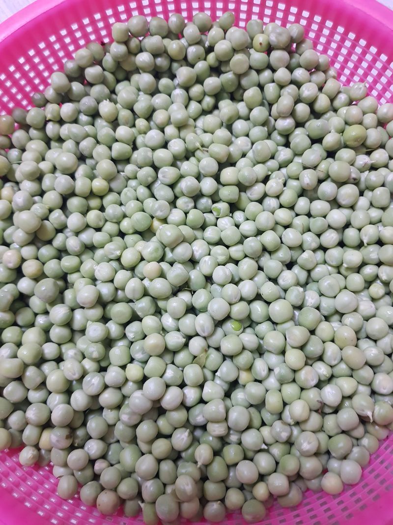 마늘  복숭아윤금자님의 장터 판매 상품 [국산 햇완두콩  500그람. 1키로] 첨부 사진