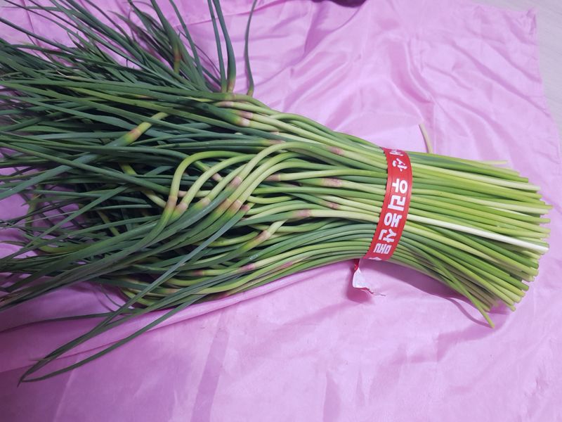 마늘  복숭아윤금자님의 장터 판매 상품 [국산 햇완두콩  500그람. 1키로] 첨부 사진