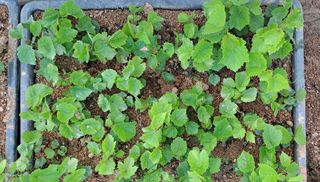 이정운님의 기타작물 · 자유게시판 작성글 사진