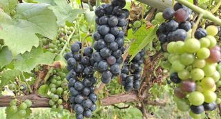 이정운님의 기타작물 · 자유게시판 작성글 사진