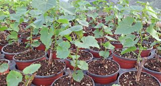 이정운님의 기타작물 · 자유게시판 작성글 사진