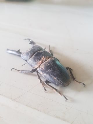 김영석님의 자유주제 · 자유게시판 작성글 사진