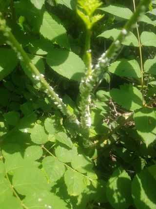 김영석님의 자유주제 · 자유게시판 작성글 사진