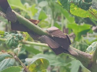 김영석님의 자유주제 · 자유게시판 작성글 사진