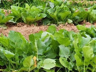 장지영님의 작성글 사진