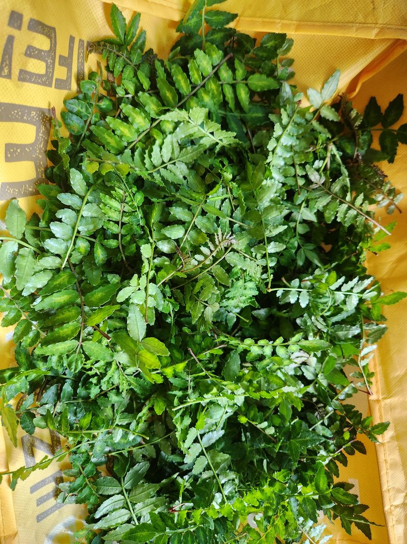 장지영님의 장터 판매 상품 [제철채소] 첨부 사진