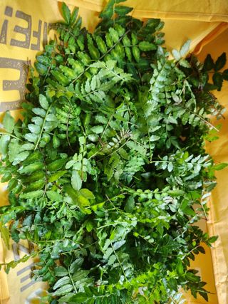 장지영님의 작성글 사진