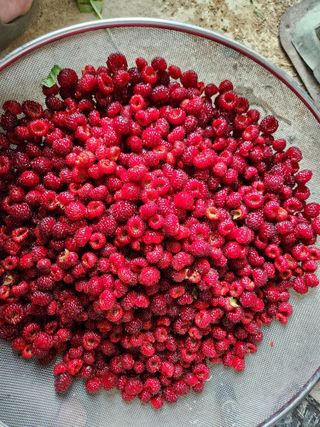 장지영님의 작성글 사진