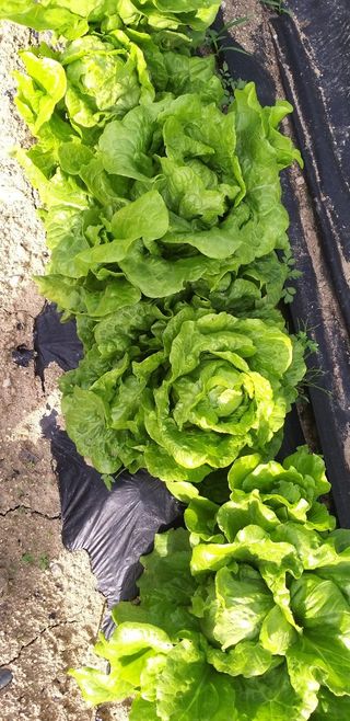 장지영님의 작성글 사진