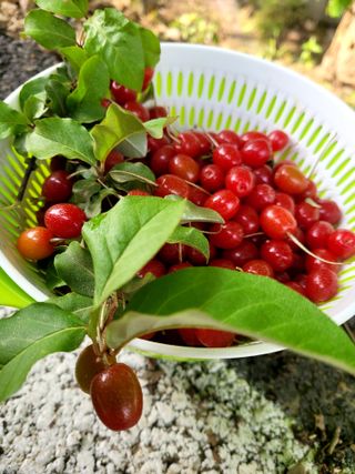 권미화님의 자유주제 · 자유게시판 작성글 사진