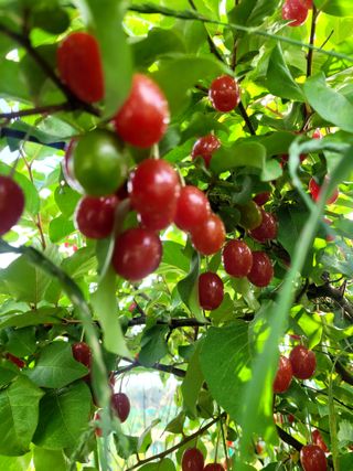 권미화님의 자유주제 · 자유게시판 작성글 사진