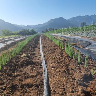 이종권님의 파 · 자유게시판 작성글 사진