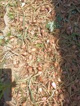 팜모닝 · 게시글 이미지