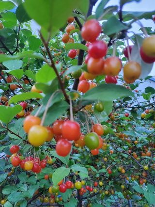 서정훈 님의 자유주제 · 자유게시판 작성글 사진