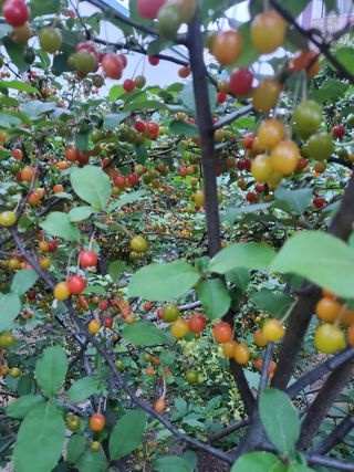 서정훈 님의 자유주제 · 자유게시판 작성글 사진