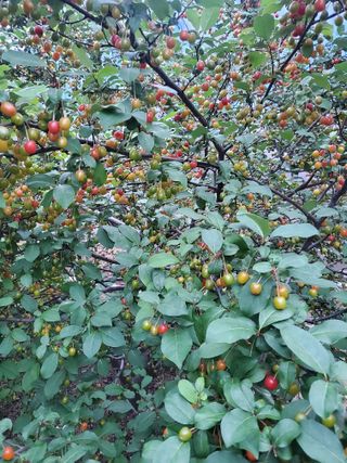 서정훈 님의 자유주제 · 자유게시판 작성글 사진