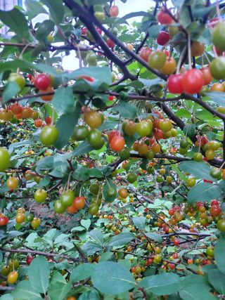 서정훈 님의 자유주제 · 자유게시판 작성글 사진