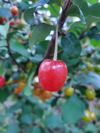 서정훈 님의 자유주제 · 자유게시판 작성글 사진