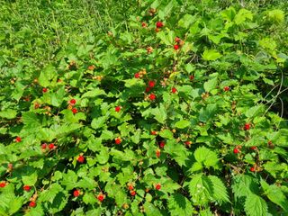 강희태님의 자유주제 · 자유게시판 작성글 사진
