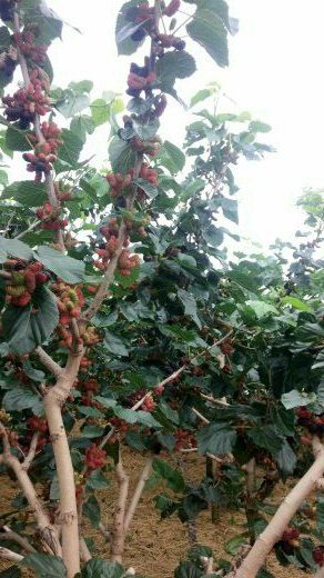 알 수 없음님의 자유주제 · 자유게시판 작성글 사진