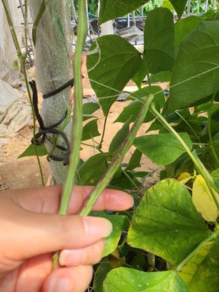 콩11857님의 콩 · 자유게시판 작성글 사진