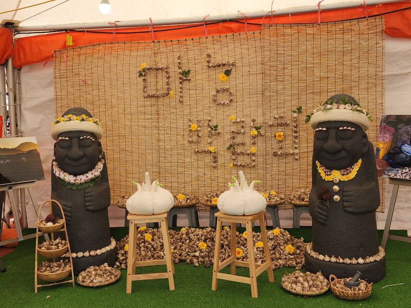 돌하루방농원(이미정님의 장터 판매 상품 [제주햇마늘 10kg] 첨부 사진