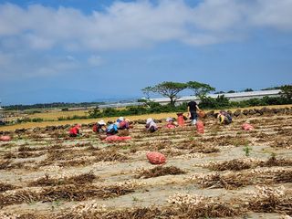 돌하루방농원(이미정님의 작성글 사진
