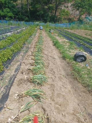 유경희님의 자유주제 · 자유게시판 작성글 사진