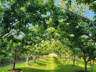 이현영님의 장터이야기 · 자유게시판 작성글 사진