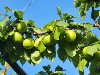 이현영님의 장터이야기 · 자유게시판 작성글 사진