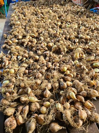 뜰 애님의 자유주제 · 자유게시판 작성글 사진