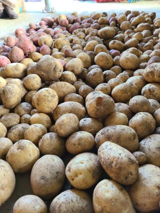 뜰 애님의 자유주제 · 자유게시판 작성글 사진