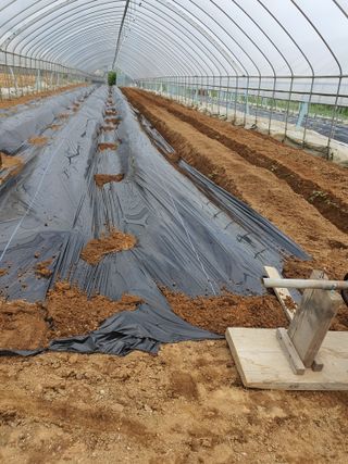 황찬용님의 기타작물 · 자유게시판 작성글 사진