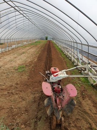 황찬용님의 기타작물 · 자유게시판 작성글 사진