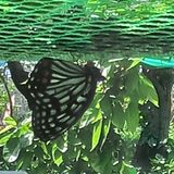 팜모닝 자유주제·자유게시판 게시글 이미지