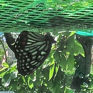 감자10786님의 자유주제 · 자유게시판 작성글 사진