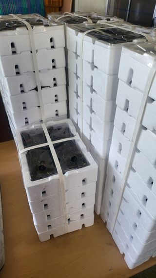 방촌대장님의 기타작물 · 자유게시판 작성글 사진