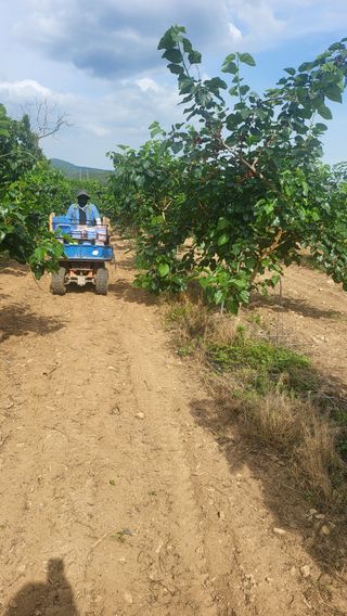 방촌대장님의 기타작물 · 자유게시판 작성글 사진